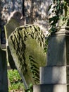 Old gravestones in the historic South Ealing Cemetery, Victorian burial ground in west London UK.