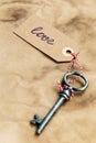 Old, ornate key Royalty Free Stock Photo