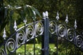 Old ornate metal gate door outdoors. Decorative cast iron wrought fence