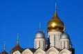 Old orthodox Archangels church. Moscow Kremlin