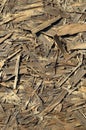 Old OSB boards are made of brown wood chips sanded into a wooden background. Top view of OSB wood veneer chipboard background, ti Royalty Free Stock Photo