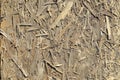 Old OSB boards are made of brown wood chips sanded into a wooden background. Top view of OSB wood veneer chipboard background, ti Royalty Free Stock Photo