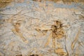 Old OSB plate consisting of pressed pine tree chips Royalty Free Stock Photo