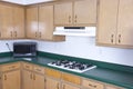 Old Outdated Kitchen Cabinets Needs Remodeling Royalty Free Stock Photo