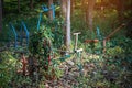 Old outdoor exercise equipment so worn out and covered in trees in outdoor exercise park. Old abandoned gym equipment on sports Royalty Free Stock Photo