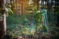 Old outdoor exercise equipment so worn out and covered in trees in outdoor exercise park. Old abandoned gym equipment on sports Royalty Free Stock Photo