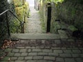 Old outdoor stone steps in dark alley with cobblestones and moss growing on the walls Royalty Free Stock Photo