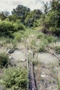 Old overgrown abandoned railway