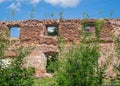 The old overgrown brick walls of the destroyed building