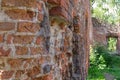 The old overgrown brick walls of the destroyed building