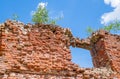 The old overgrown brick walls of the destroyed building