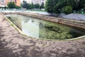 Old overgrown city pond with duckweed on the surface of the water. Parking car Royalty Free Stock Photo