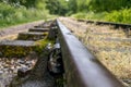 Old overgrown disused railway tracks. Royalty Free Stock Photo