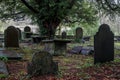 Old overgrown grave yard Royalty Free Stock Photo