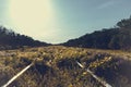 Old overgrown railway tracks in spring time Royalty Free Stock Photo