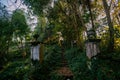 Old overgrown stairs in abandoned park Royalty Free Stock Photo