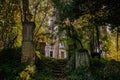 Old overgrown stairs in the abandoned park Royalty Free Stock Photo