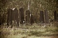 Old overgrown and tilted graves