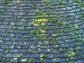 Old overlapping dark terracotta roof tiles covered in green moss and algae