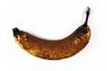 Old overripe brown banana fruit isolated on white background