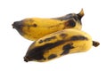 Old and overripe Nam Wah Banana Royalty Free Stock Photo