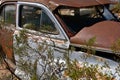 Old Packard logo on a rusty fender