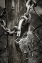 Old padlock with a chain on the rusty gate Royalty Free Stock Photo