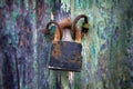 Old padlock on a wooden door Royalty Free Stock Photo