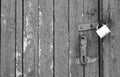 Old padlock on wooden gate in black and white Royalty Free Stock Photo