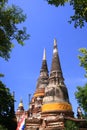 Old pagodas at Ayuttaya Thailand Royalty Free Stock Photo