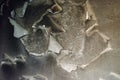 Old paint on the wall, burned after a fire Royalty Free Stock Photo