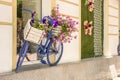 Old painted blue color bicycle with flowers as an ornament Royalty Free Stock Photo