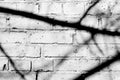 Old painted brick wall with shadows of branches on it. Black and white abstract background Royalty Free Stock Photo