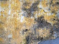 Old painted concrete wall Royalty Free Stock Photo