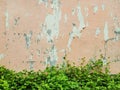 Old painted peach wall background Royalty Free Stock Photo