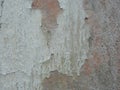 Old painted wall. Grunge abstract wall texture and background.