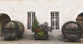 An old painted wine barrels in Chateau de Pommard, France