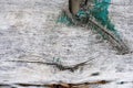 old painted wooden old plank wallpaper background exposed to weather Royalty Free Stock Photo