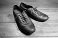 Old pair of dancing shoes Royalty Free Stock Photo