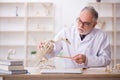 Old male paleontologist examining ancient animals at lab