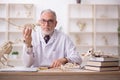 Old male paleontologist examining ancient animals at lab