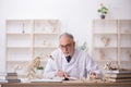 Old male paleontologist examining ancient animals at lab