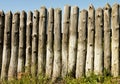 Old paling of sharpened logs Royalty Free Stock Photo