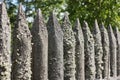 Old palisade Royalty Free Stock Photo