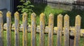 Old Palisade covered with Moss Royalty Free Stock Photo