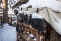 Old pans in burnt ash hanging on wall. A warm looking cottage at the middle of a snowy winter forest. Firewood stacked Royalty Free Stock Photo