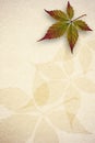 Old paper autumn leaves background