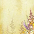 Old paper background with hand drawn flowers on border Royalty Free Stock Photo