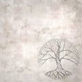 Old paper background with line drawing of a twisted old tree