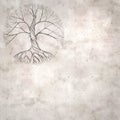 Old paper background with line drawing of a twisted old tree